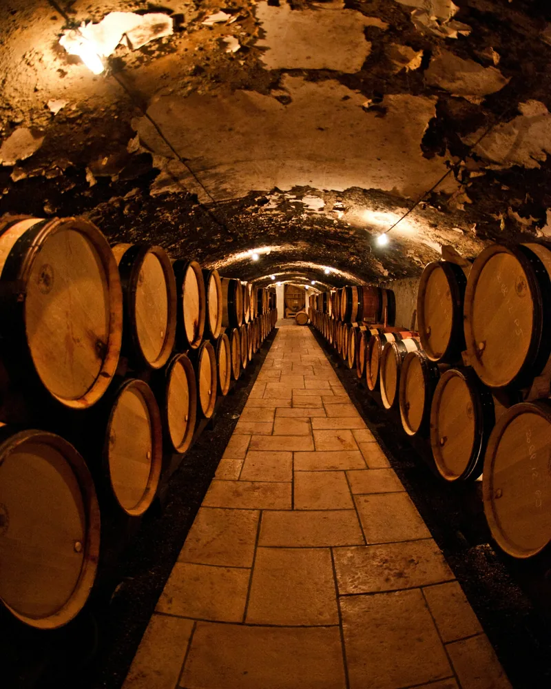 A tasting in the cellar, South Africa