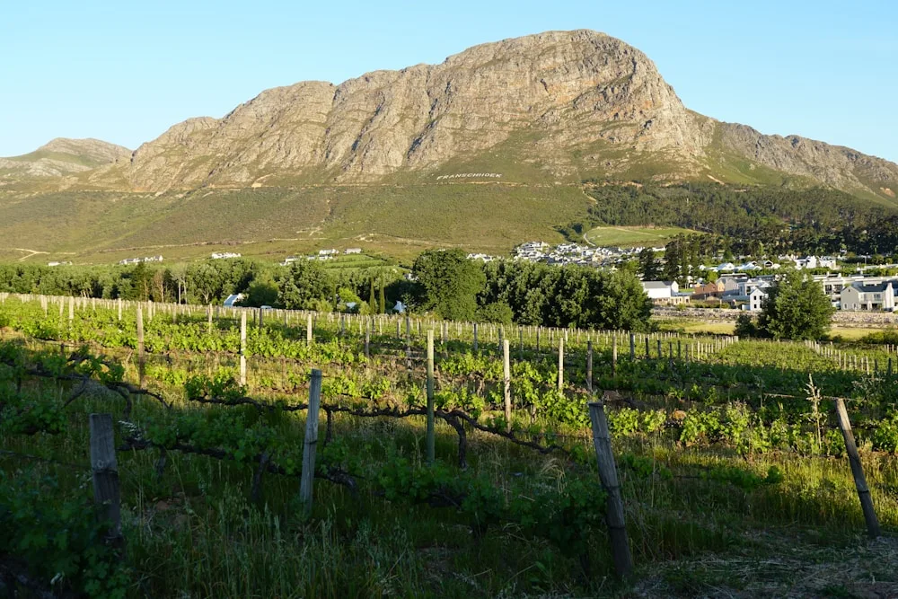 The Winelands