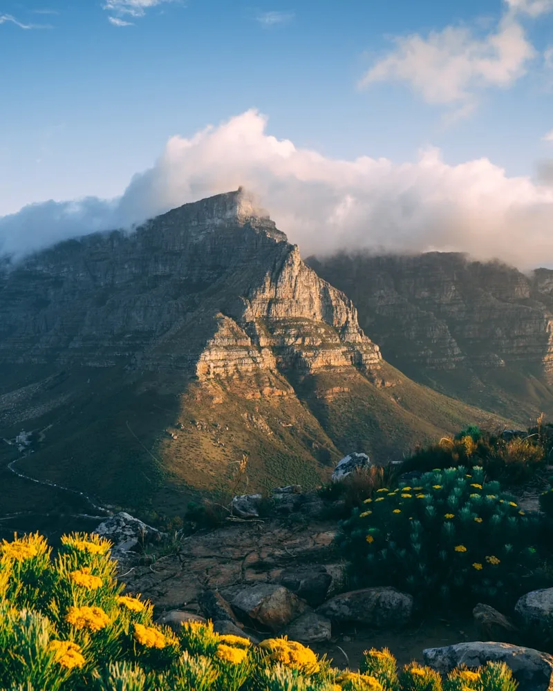 Cape Town & the Cape Peninsula