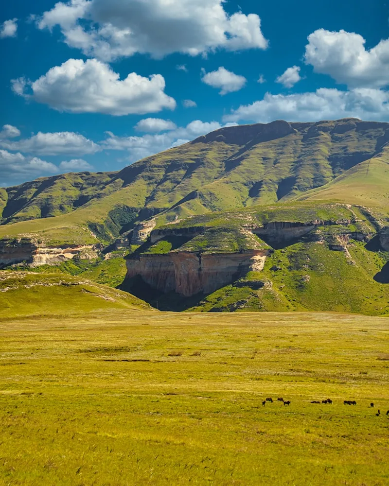 The Drakensberg & KwaZulu-Natal