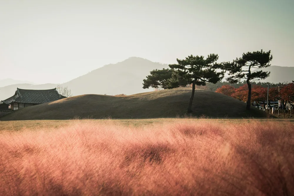 Pair it with Gyeongju