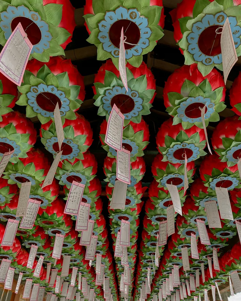 Lotus lanterns at the temple, South Korea