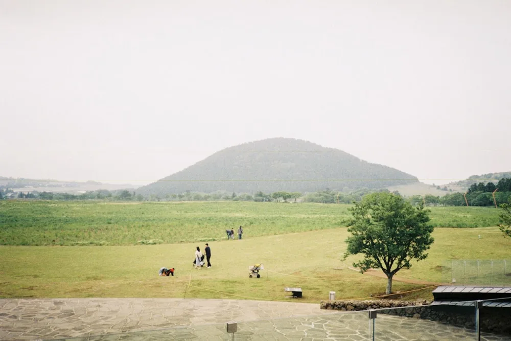 More of the island