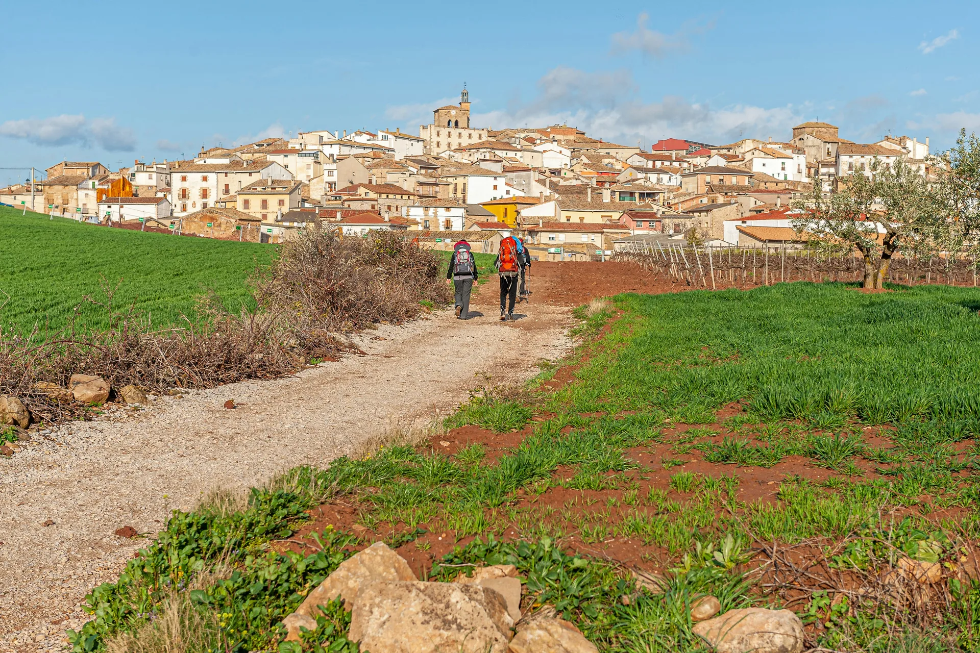 Walking the Camino de Santiago