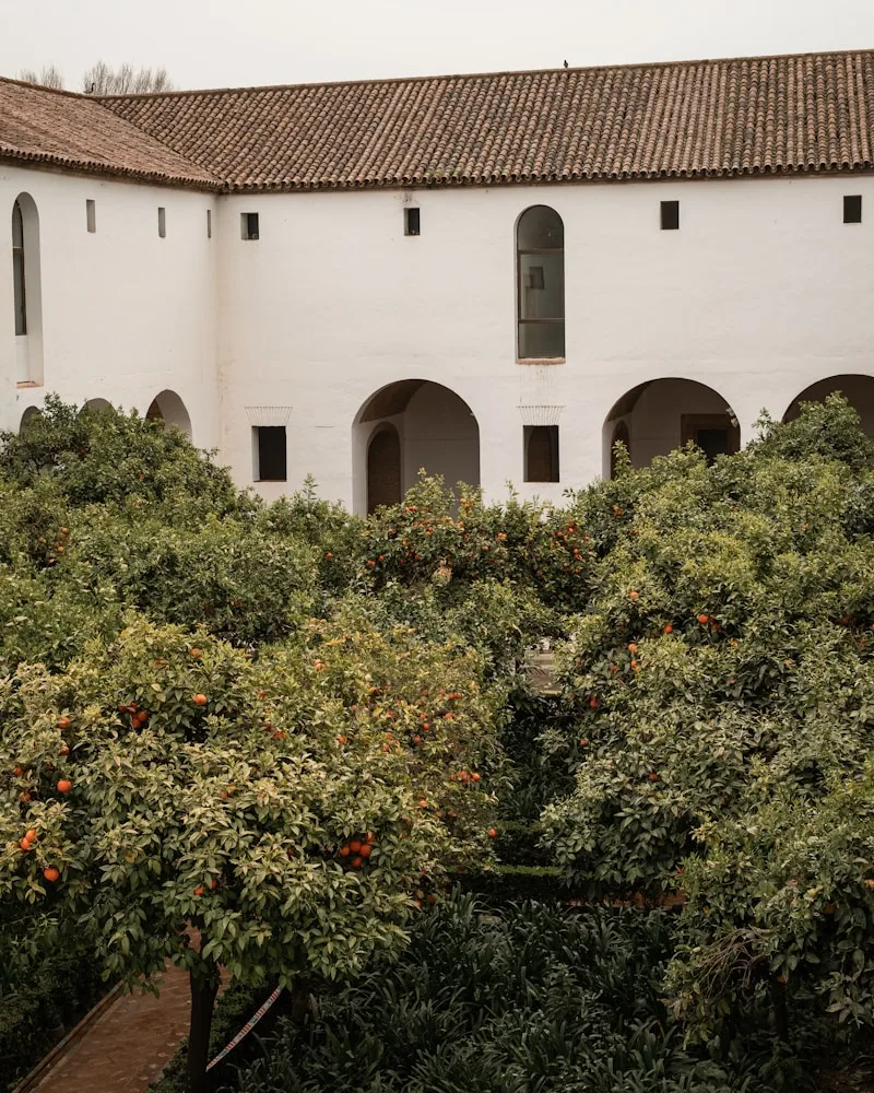 The Patio de los Naranjos, Spain