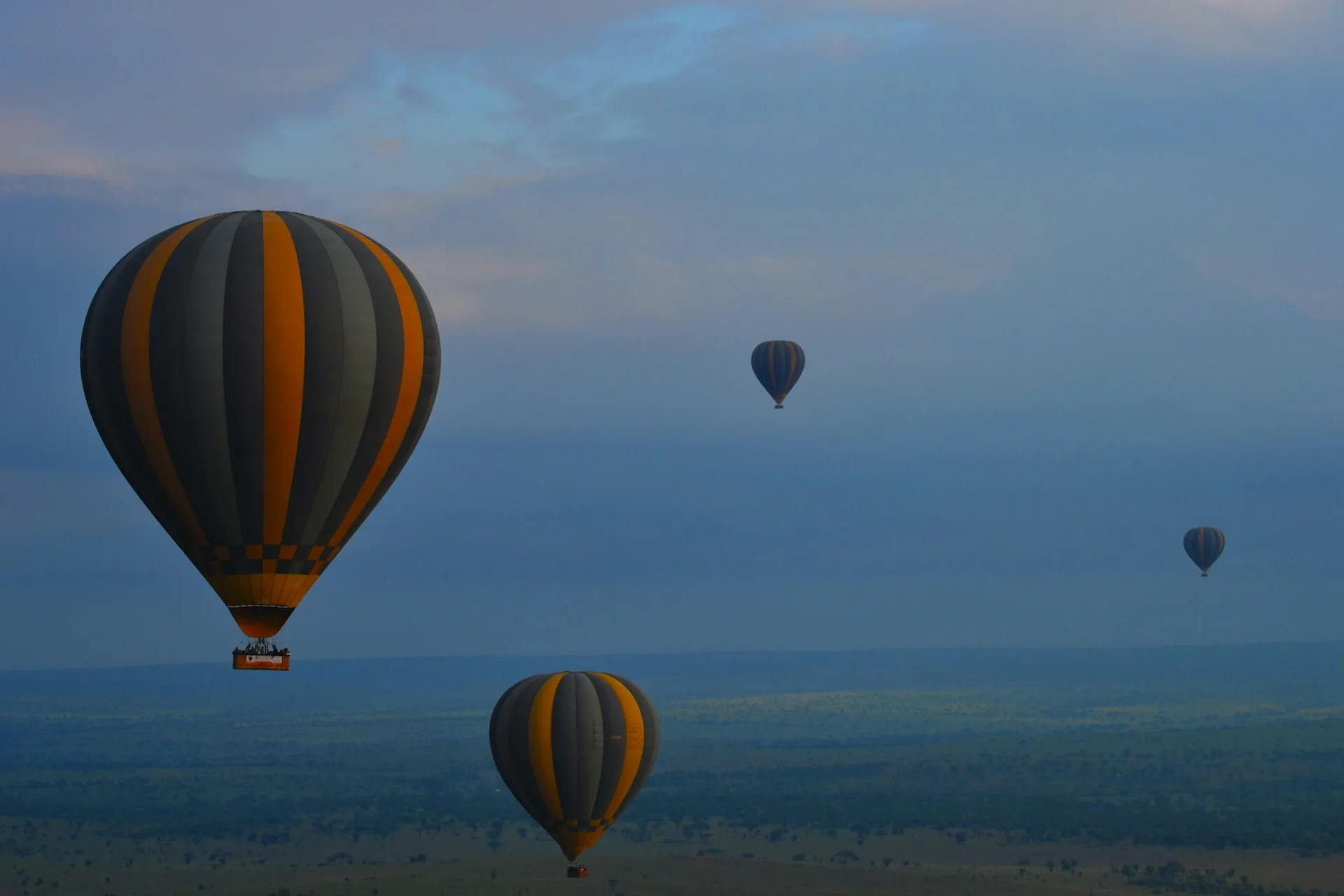 A Dawn Balloon Safari