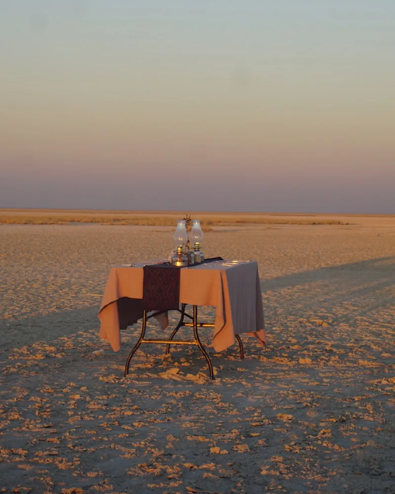 Breakfast on the plains, Tanzania