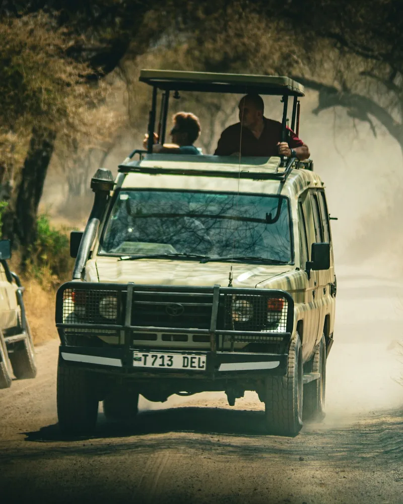 A safari game drive, Tanzania