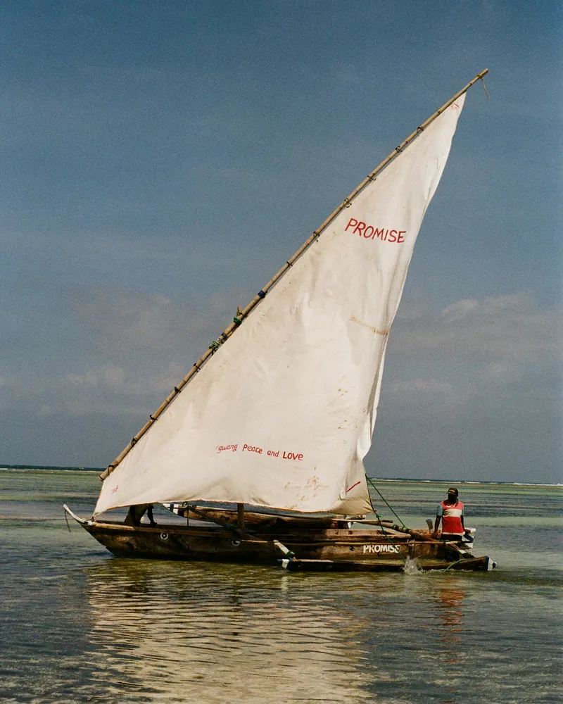 A dhow at sunset, Tanzania
