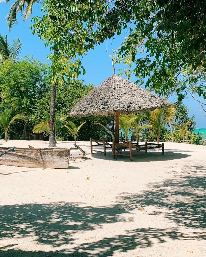The white-sand beaches, Tanzania