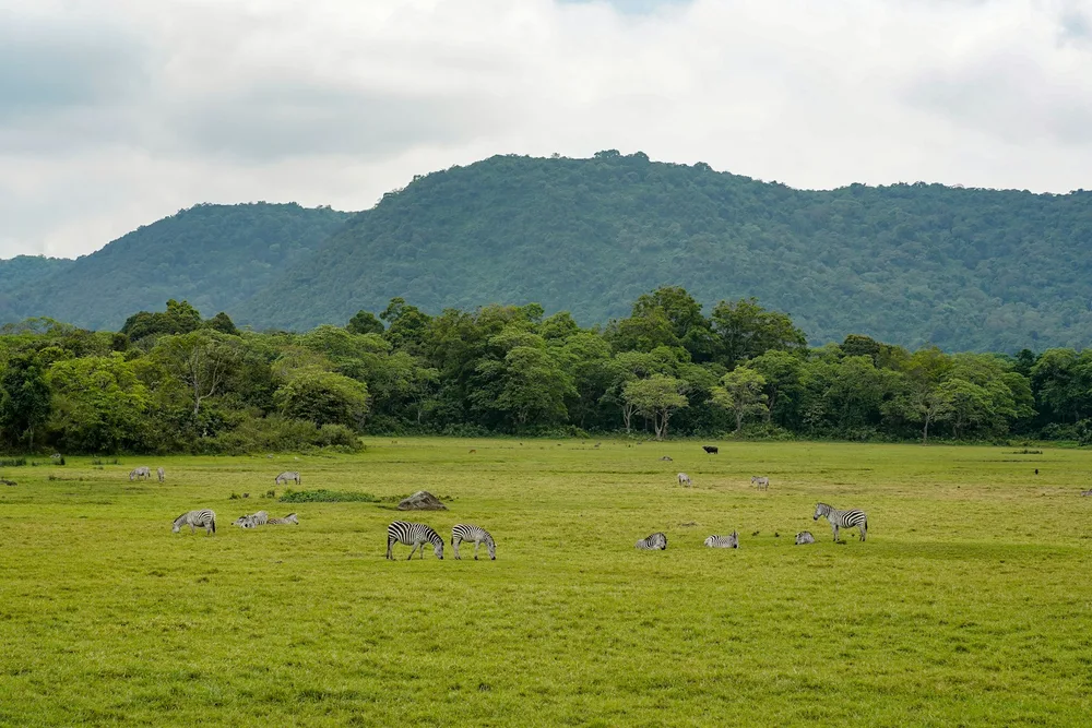 Arusha