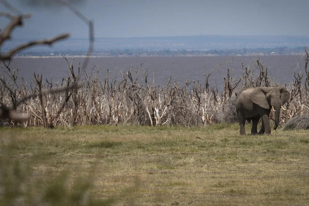 Tarangire National Park