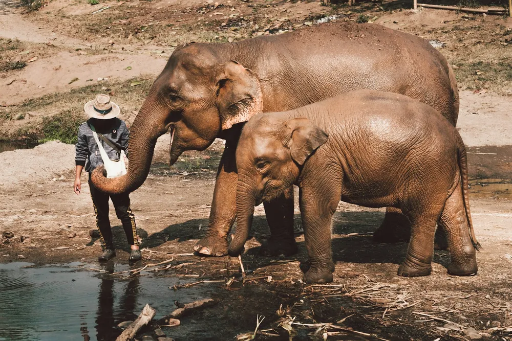 The Mae Taeng valley