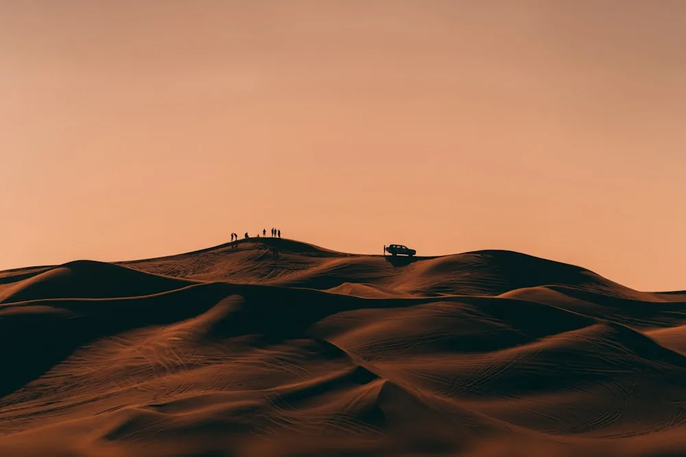 Desert safari