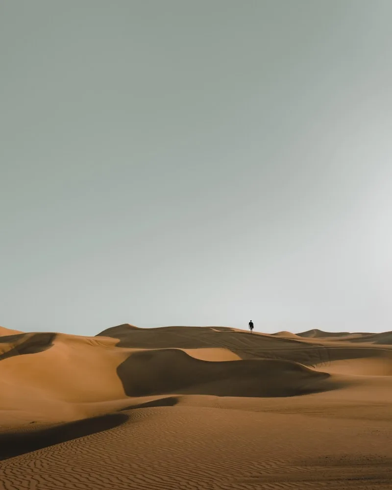 The Desert