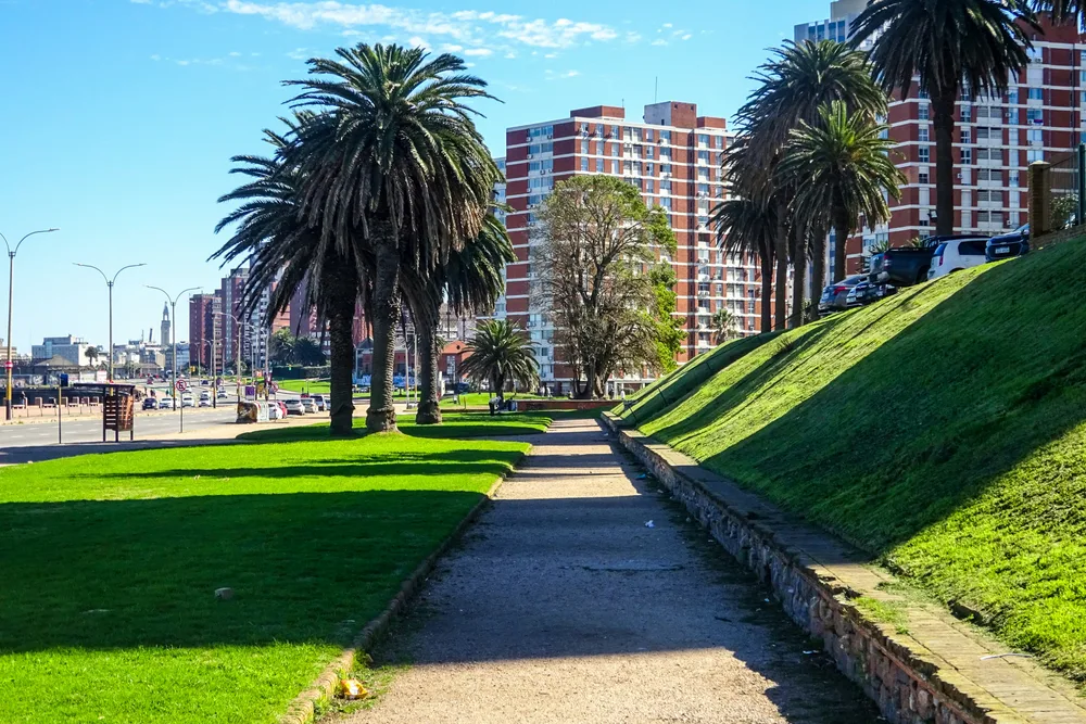 The Rambla & mate culture