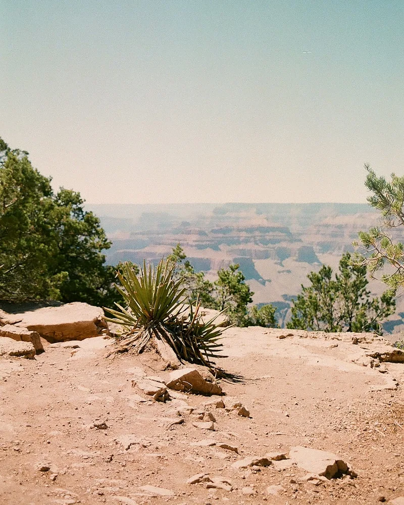 The South Rim, United States