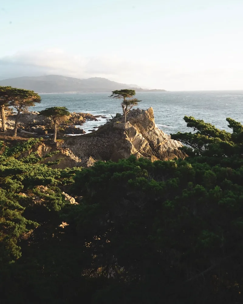 Monterey & 17-Mile Drive, United States
