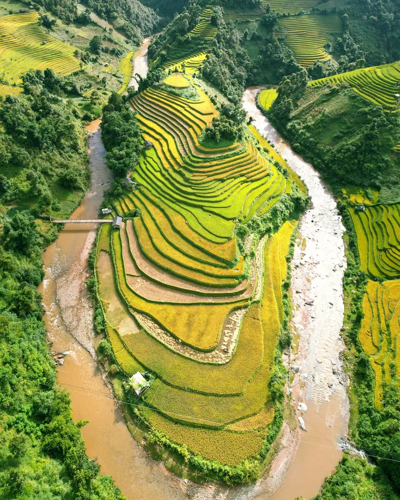 The orchards and paddies, Vietnam