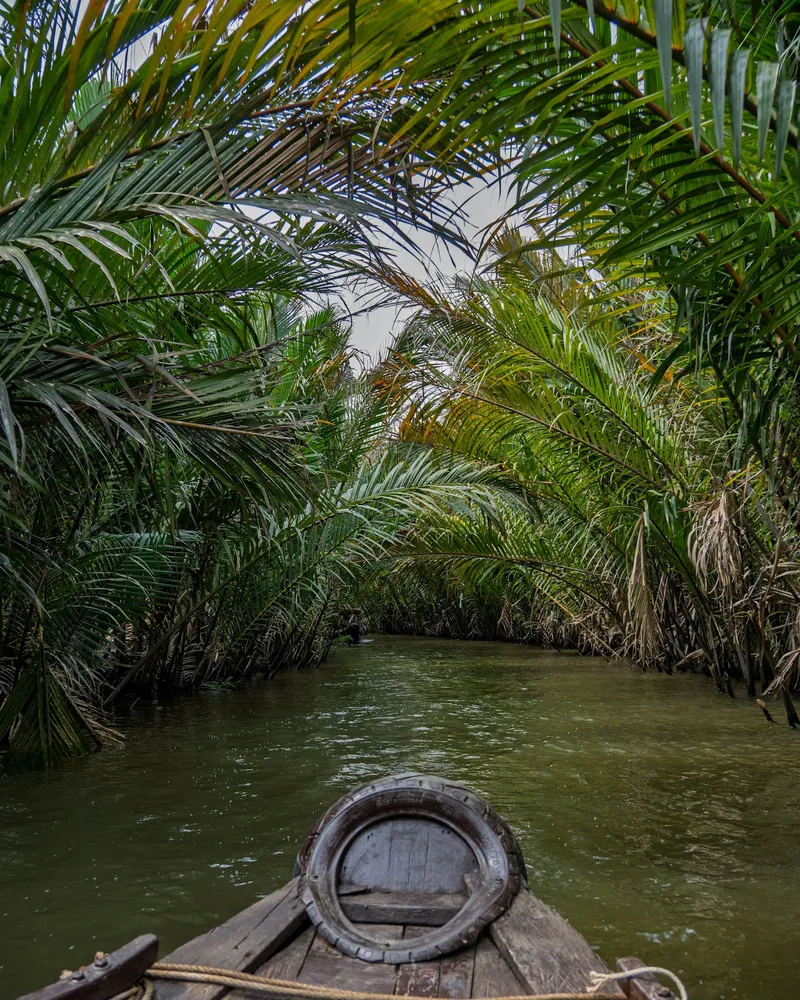 Rowed canals under the palms, Vietnam