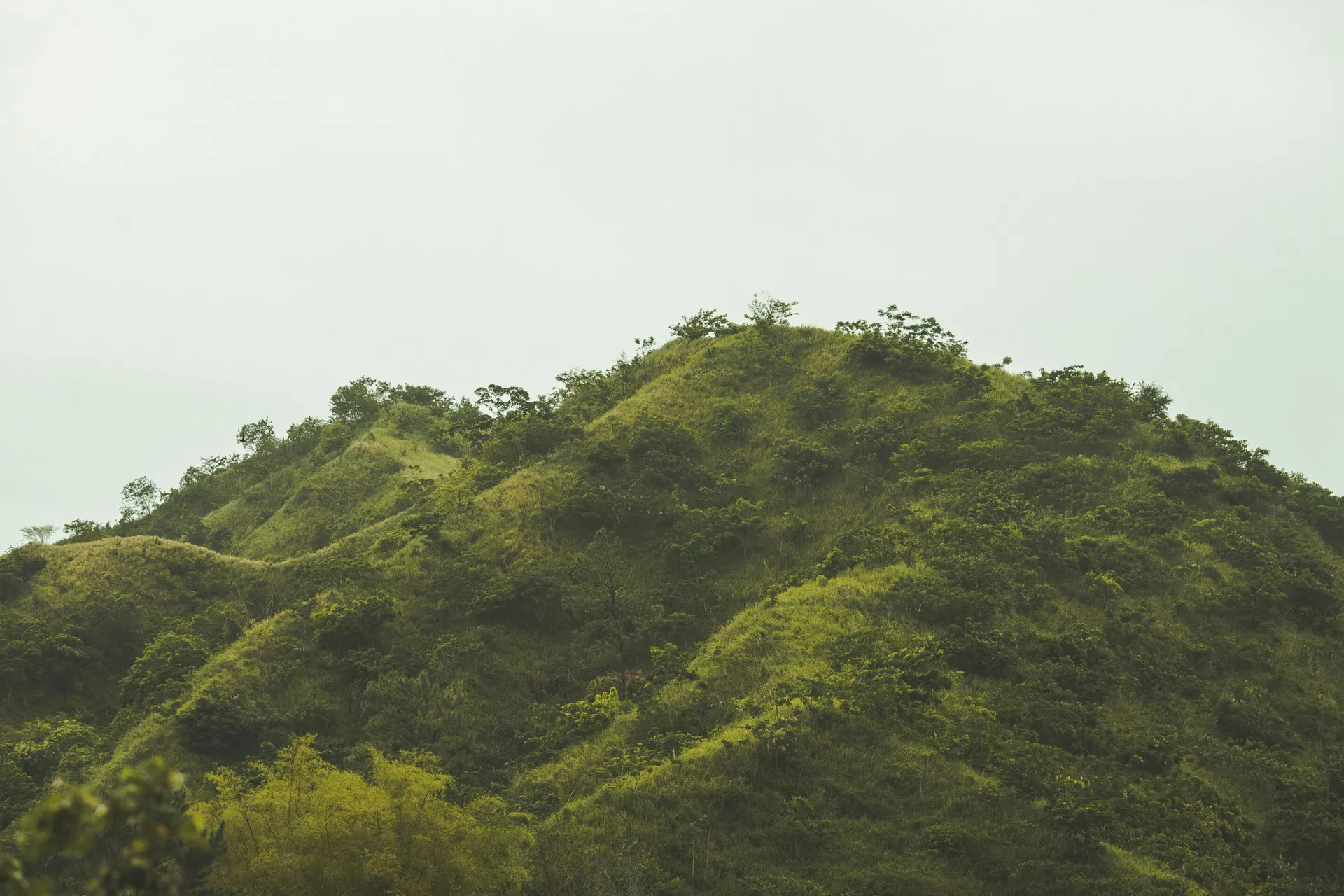Jamaica: Home of Reggae, Blue Mountain Coffee, and Seven Mile Beach