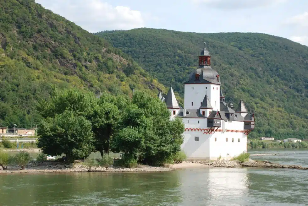 Savoring the Journey: Your Guide to Food on a Danube River Cruise